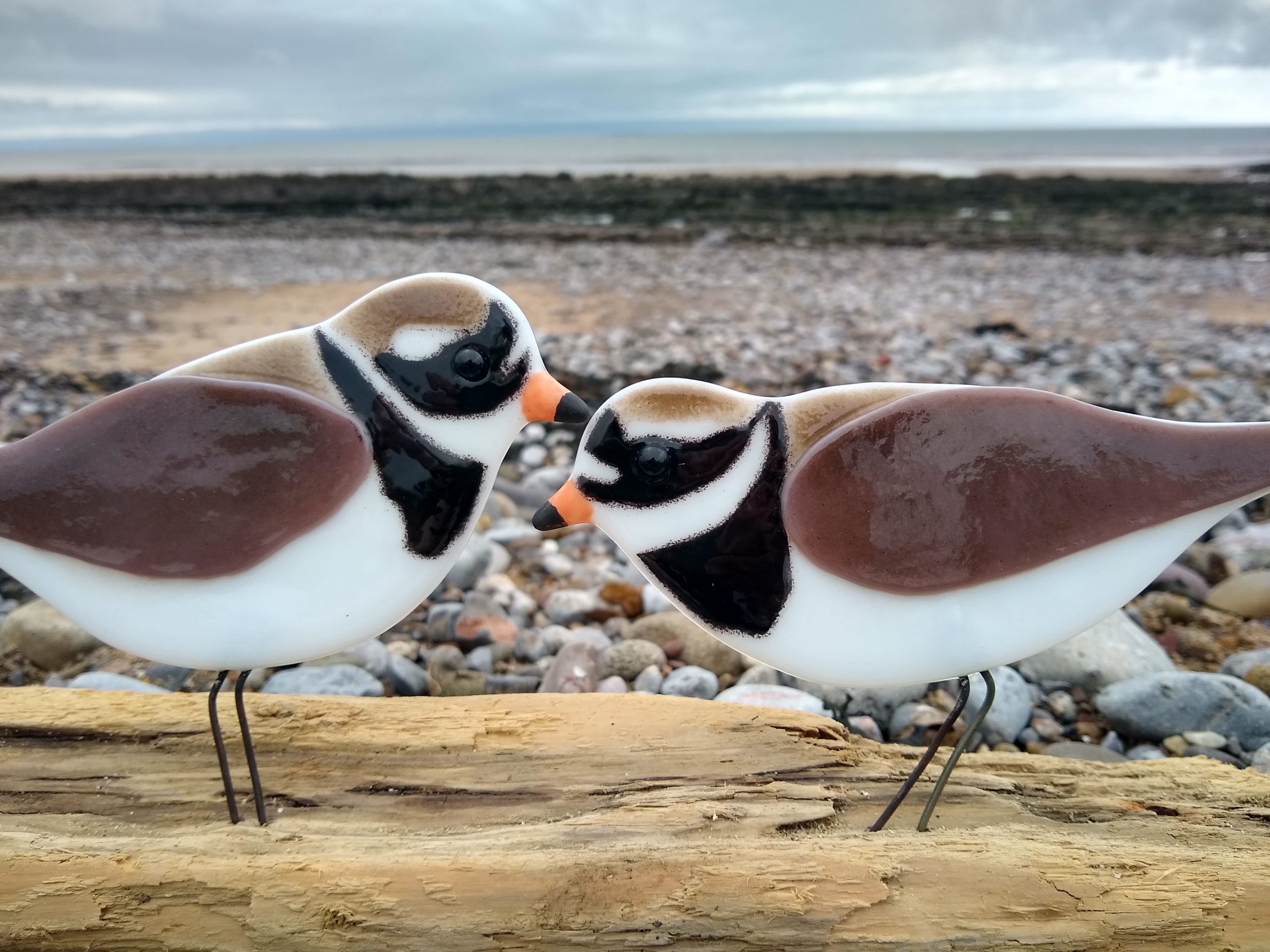 Jewel Glass fused glass Ringed Plovers on driftwood base